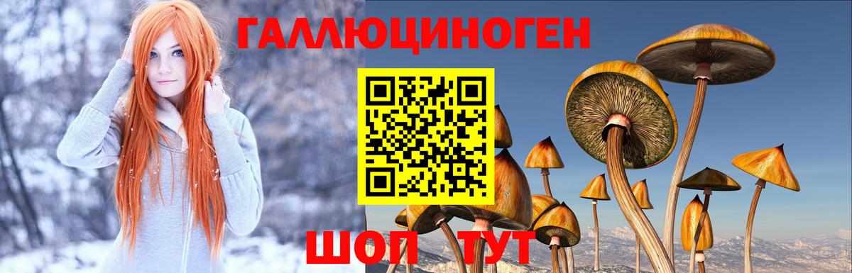 Лесозаводск  как найти закладки  Псилоцибиновые грибы MAGIC MUSHROOMS  Вход с VPN  Псилоцибиновые грибы Magic Shrooms 